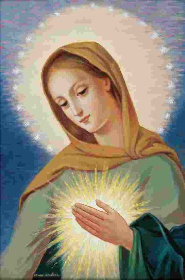 Picture of Image test