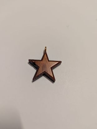 Picture of Star medallion