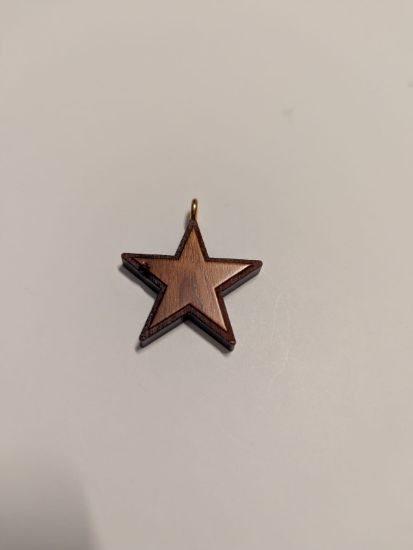 Picture of Star medallion