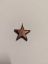 Picture of Star medallion
